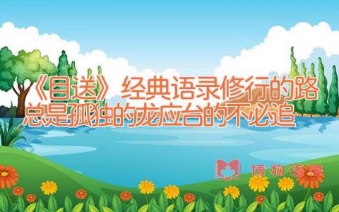 《目送》经典语录_修行的路总是孤独的(龙应台的不必追)
