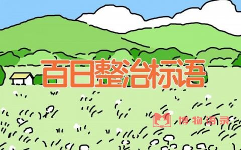 百日整治标语