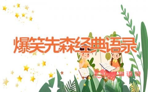 爆笑先森经典语录