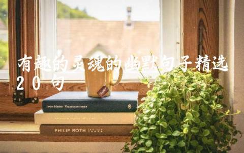 有趣的灵魂的幽默句子(精选20句)插图 有趣的灵魂的幽默句子(精选20句)插图