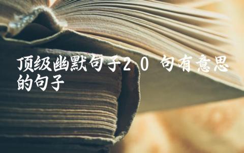 顶级幽默句子（20句有意思的句子）插图