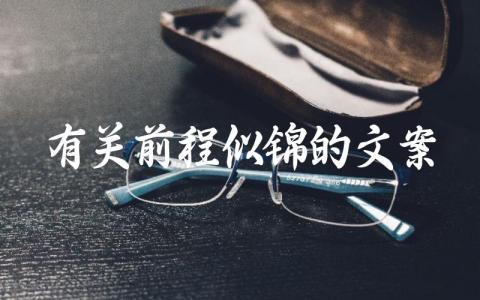 有关前程似锦的文案插图