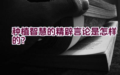 “种植智慧的精辟言论是怎样的？”插图