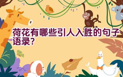 荷花有哪些引人入胜的句子语录？插图