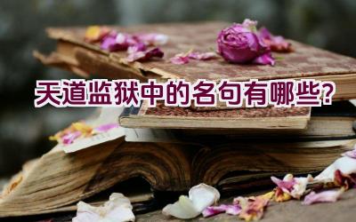 天道监狱中的名句有哪些？插图