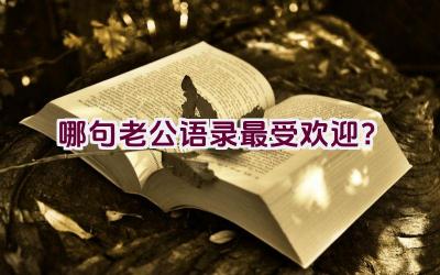 哪句老公语录最受欢迎？插图