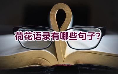 荷花语录有哪些句子？插图